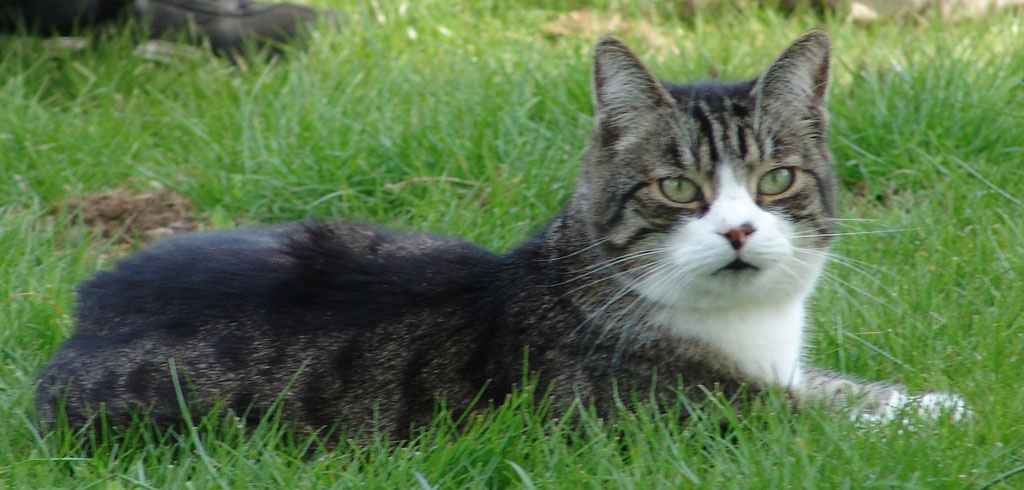 KeWin im Garten